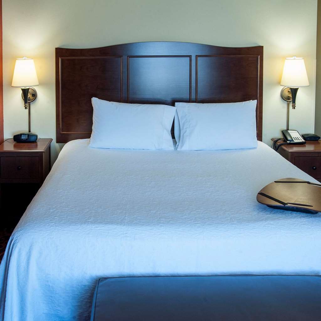 Hampton Inn & Suites Watertown Værelse billede